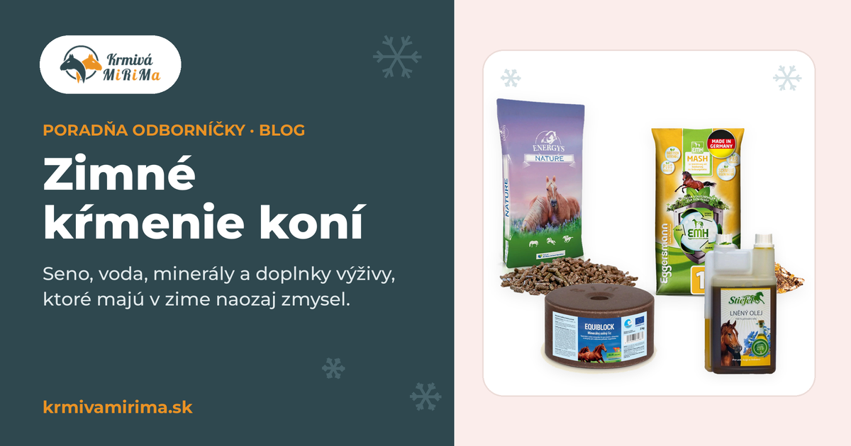 Zimné kŕmenie koní: čo dať koníkovi, keď skončí pastva
