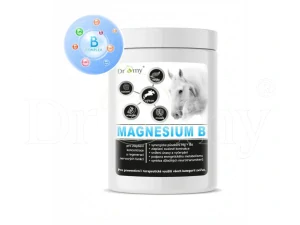 Dromy Magnesium B 1000 g  