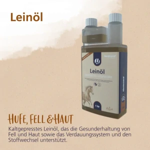 Ľanový olej za studena lisovaný Hestevard (Kanister, 5 l)
