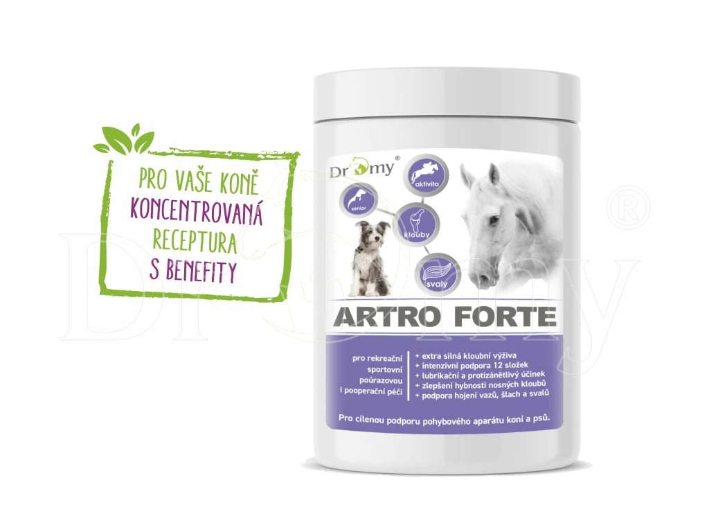DROMY Artro FORTE 900 g