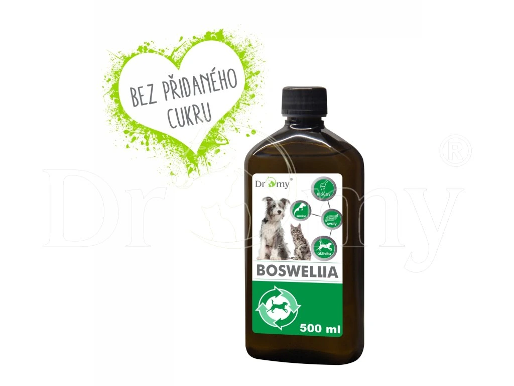 Dromy Boswellia liquid 500 ml
