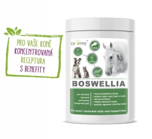 Dromy Boswellia FORTE 750 g
