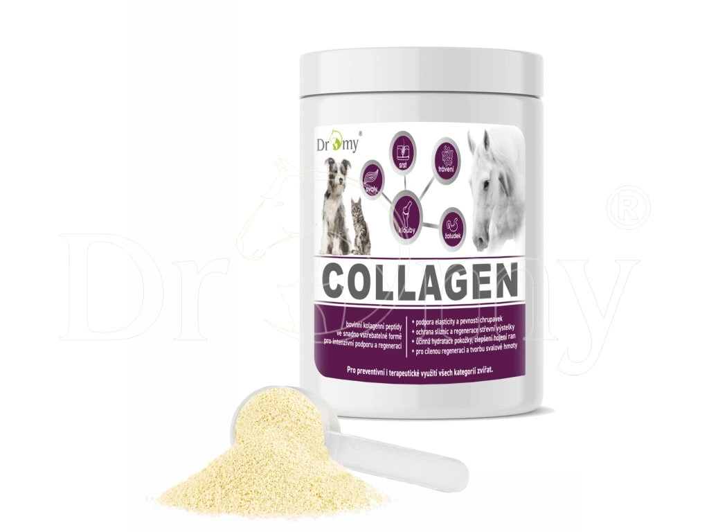 Dromy Collagen 900 g