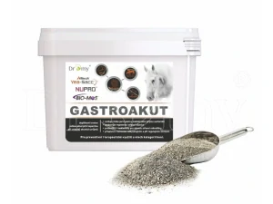 Dromy GastroAkut 2000g 