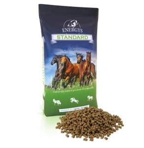 Energys STANDART 25 kg 