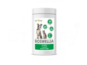 Dromy Boswellia 120 tbl.