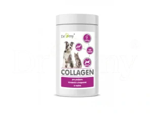 Dromy Collagen 160 tbl.