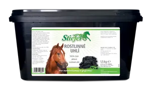 Rastlinné aktívne uhlie pri gastrointestinálnych problémoch