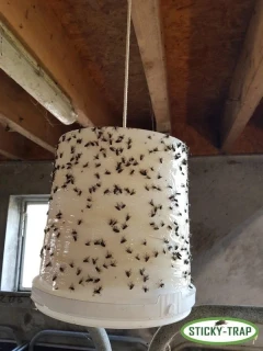 Sticky Trap biely kýblik k výrobe pasce na muchy